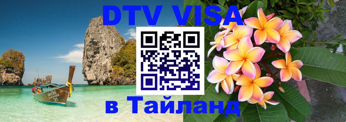 Сколько стоит DTV виза — актуальные цены, оформление даже без документов - Кишинёв 